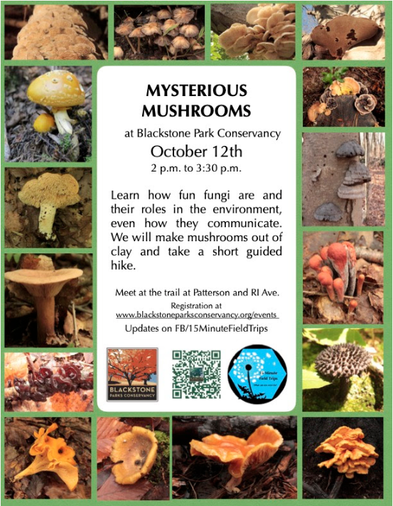 Blackstone Parks: Mysterious Mushrooms